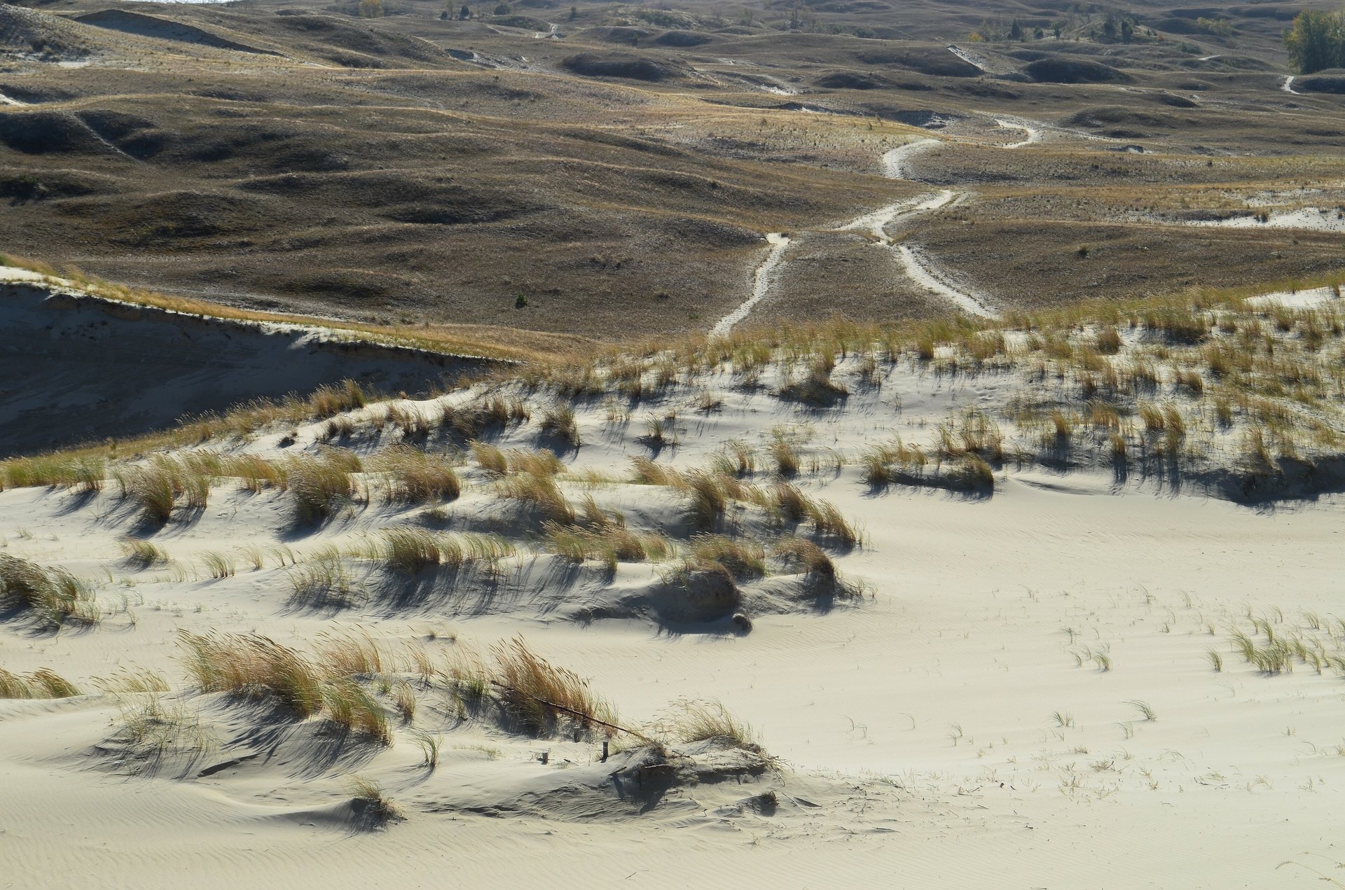 Curonian Spit dunes